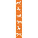 6 Assorted Stencils Horses
