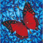Flutterby Red 38x38